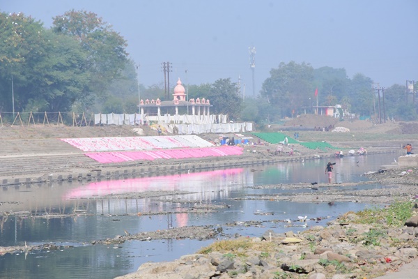 naidunia_image